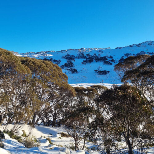 Charlotte Pass Snow Resort