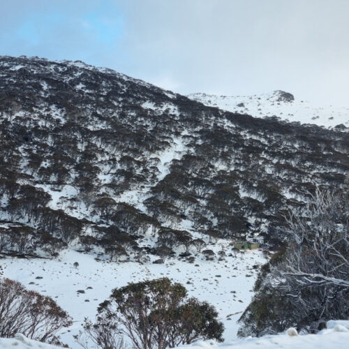 Charlotte Pass Snow Resort